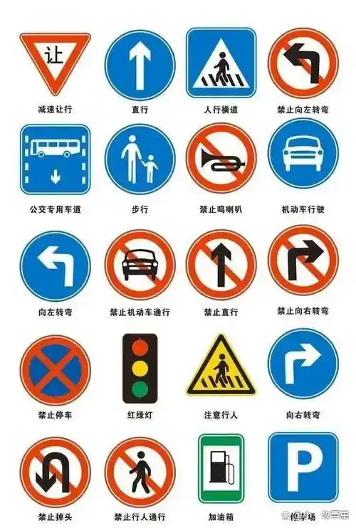 春节返程吃6张罚单!这些易违章行为你中招了吗?