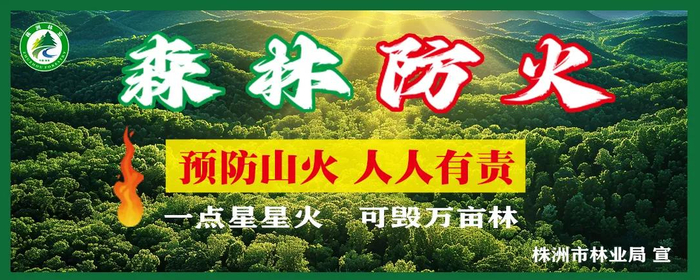 春节高速免费，ETC却扣费？湖南高速客服来解惑