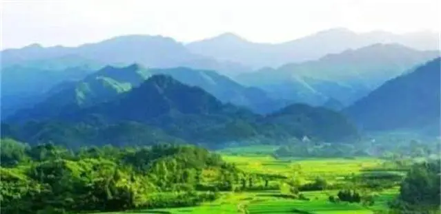 八次高考的坚守:农村长子承载全家期望冲击大学梦