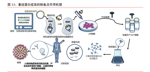 全球疫情严峻,新冠病毒不断变异,奥密克戎成优势毒株