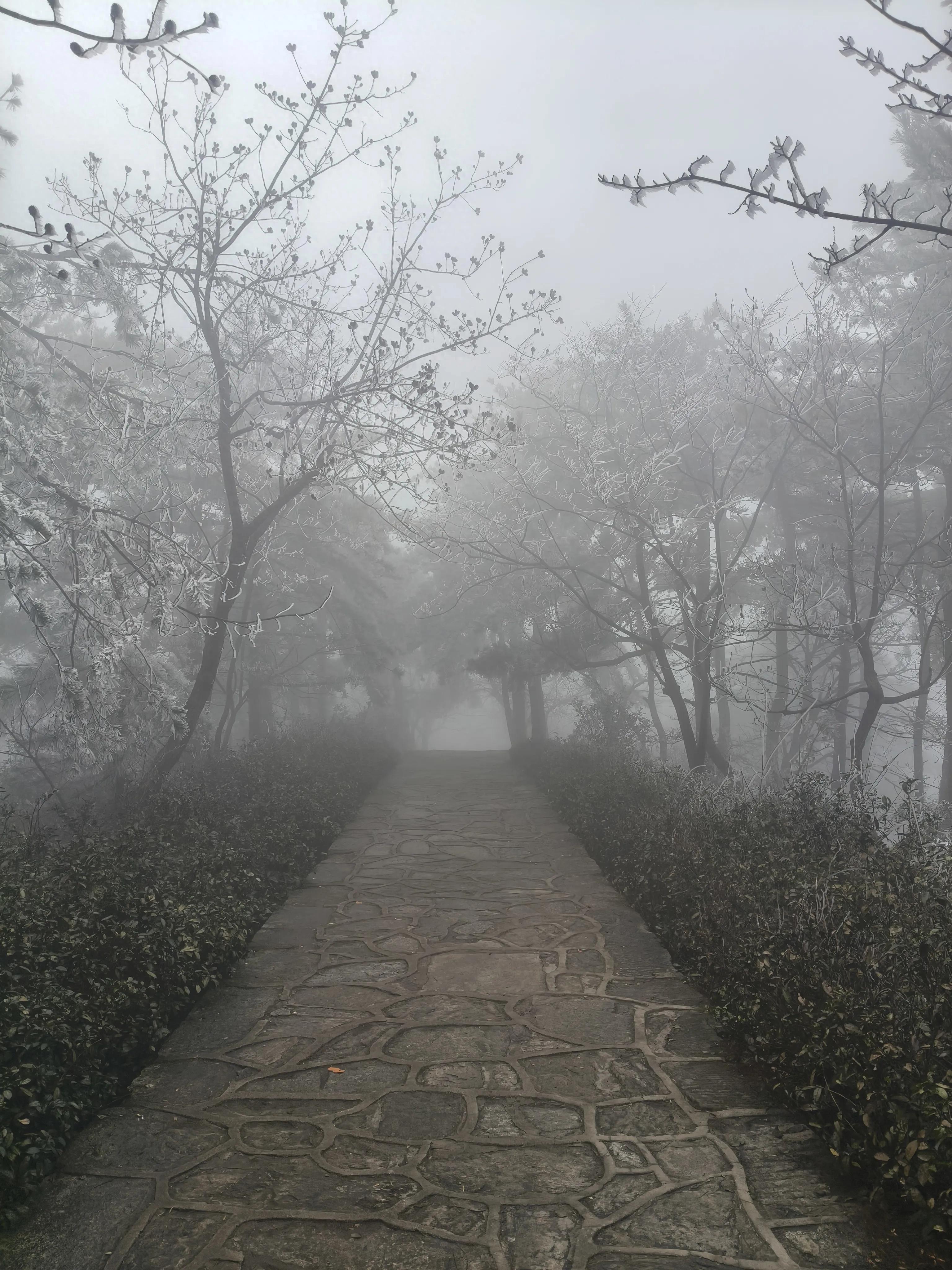 2026高考作文：从诗词史书古典智慧中汲取青春力量