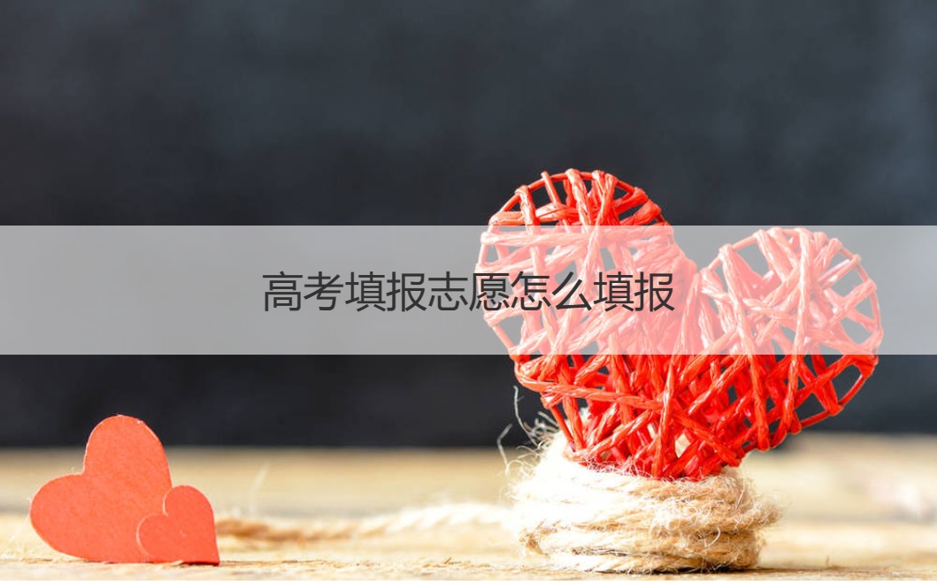 高考志愿填报方法及技巧介绍，不报班也能填好志愿