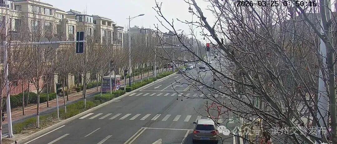 滨州2025年违章高发时段分析:这些路口闯红灯、不礼让行人最易犯