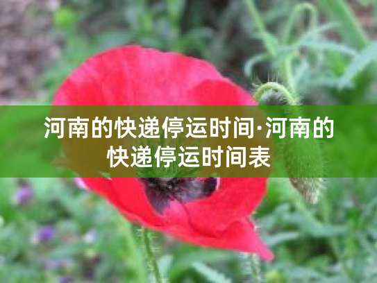 河南快递春节停运预测：腊月廿八起陆续停，初四恢复